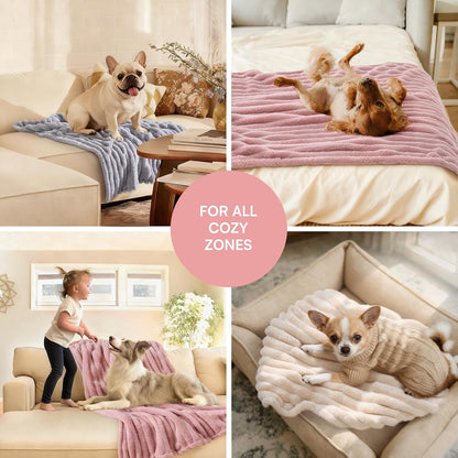 LINENLUX 1 Pack 3 Fleece Dog Blanket Soft Warm Cat Beige/Pink/Grey Small