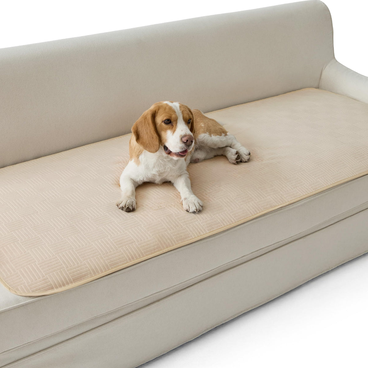 Bedsure Waterproof Couch Cover for Sofa and Dogs Quick Drying, 52x82IN