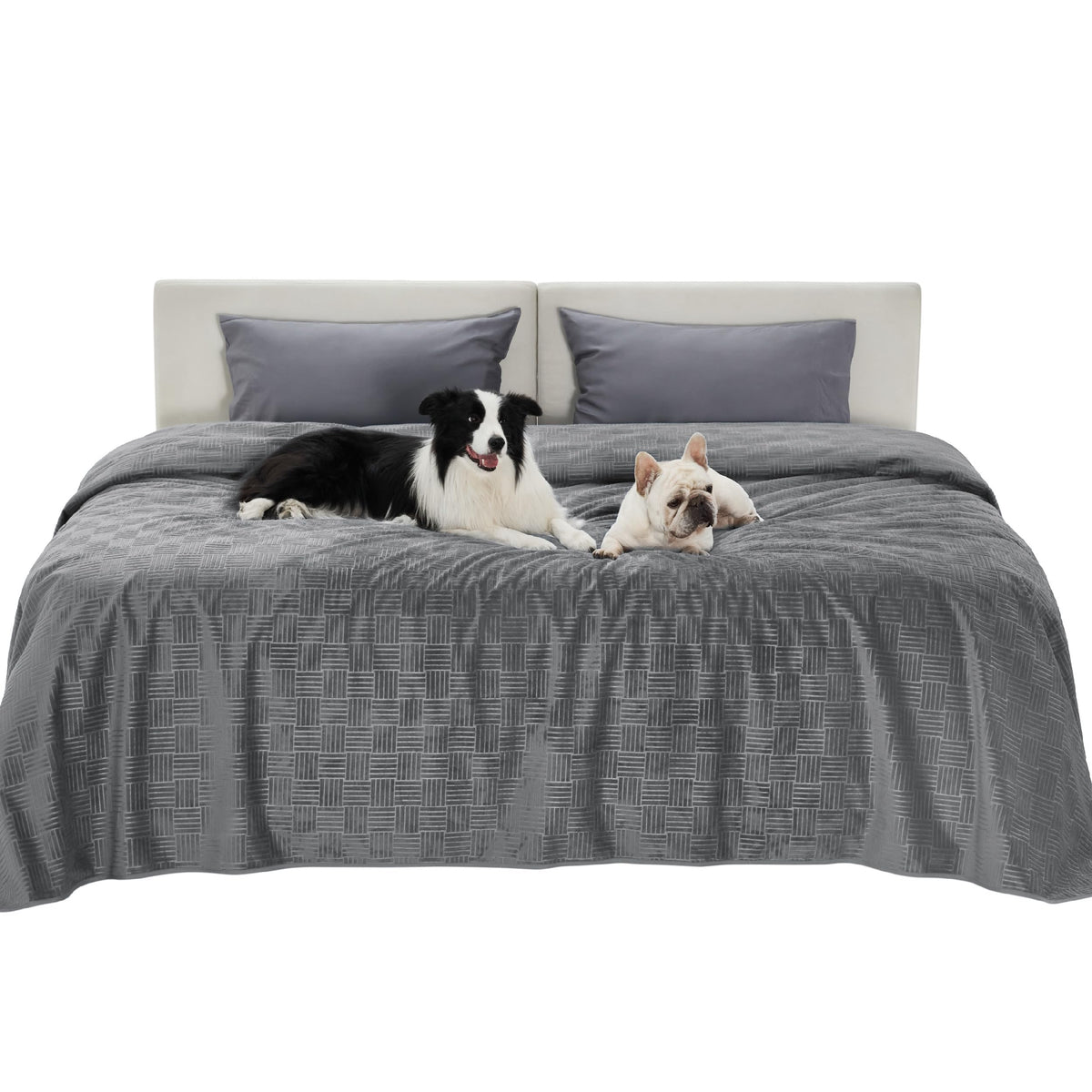 Bedsure Waterproof Couch Cover for Sofa and Dogs Quick Drying, 52x82IN