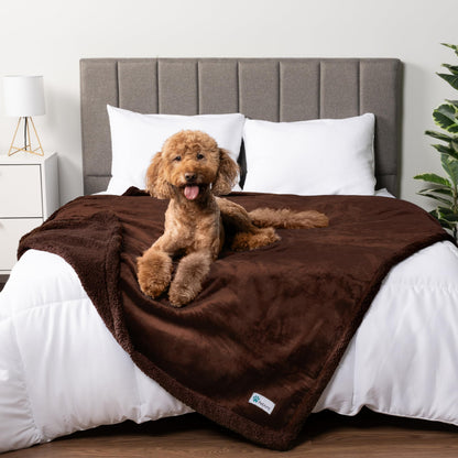 PetAmi Waterproof Dog Blanket for Large Dog Cat Pet, 60x80, Grey Sherpa
