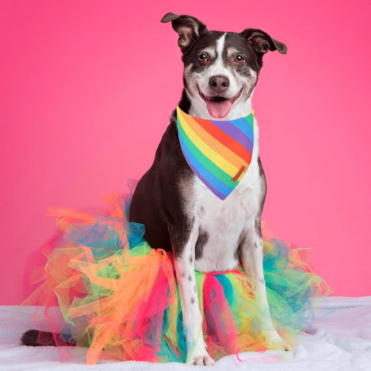 ADOGGYGO Rainbow Dog Bandana, 2 Pack Pride Bandana for Dogs, X-Large