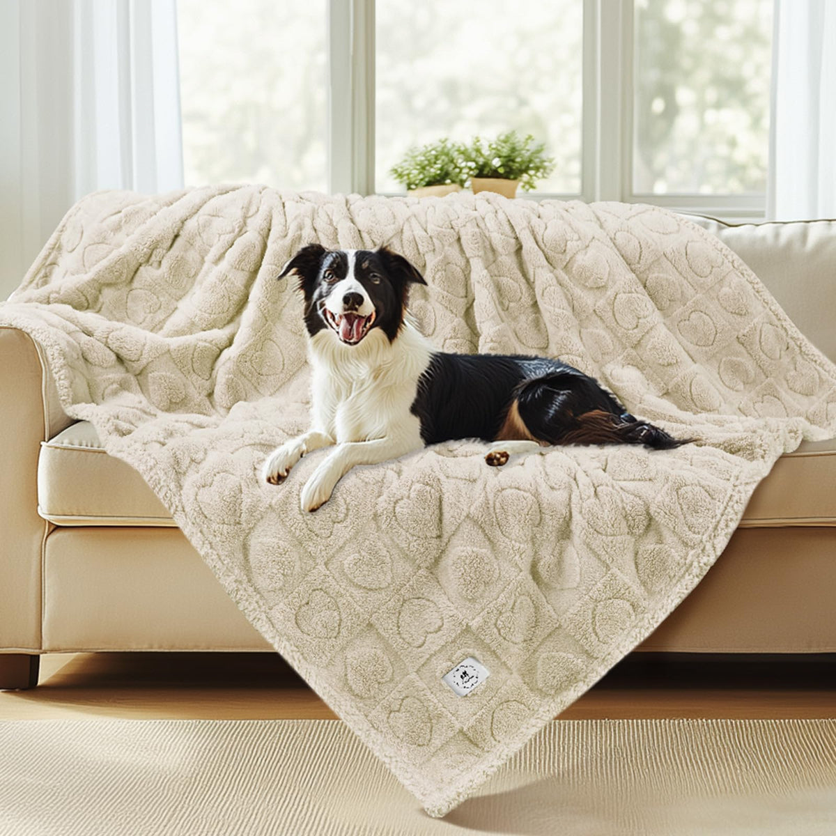 Luciphia Waterproof Blanket for Twin Bed Reversible Fleece Couch Cover