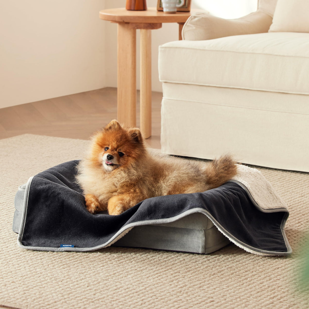 Bedsure Waterproof Dog Blankets for Large Dogs Sherpa Fleece Throw, 40X50