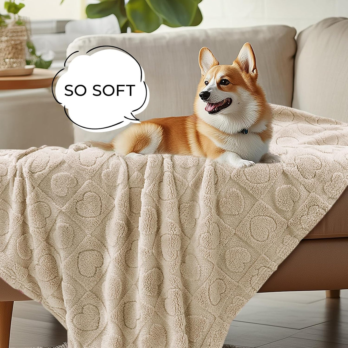 Luciphia 2 Pack Small Dog Blanket, Cozy Fleece Throw for Puppy Cat,30"x20"