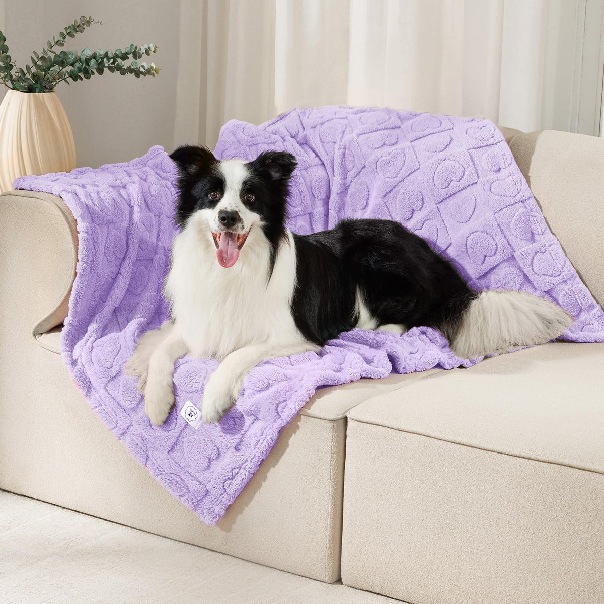 Luciphia 2 Pack Small Dog Blanket, Cozy Fleece Throw for Puppy Cat,30"x20"