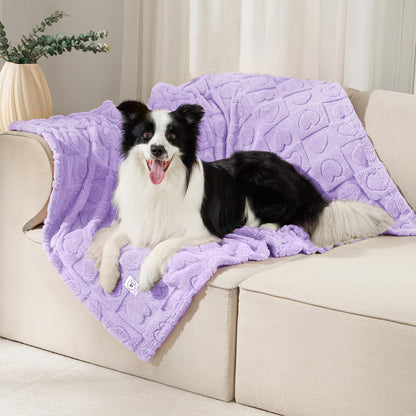 Luciphia 2 Pack Small Dog Blanket, Cozy Fleece Throw for Puppy Cat,30"x20"