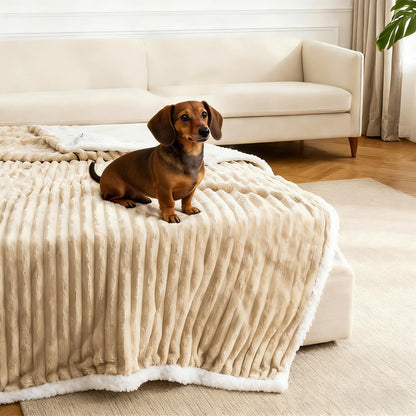 Waterproof Dog Blanket Soft Pet Cat Blanket 40x30 in Cream