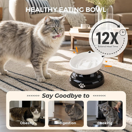 Y YHY Ceramic Cat Slow Feeder, Elevated Dog Food Bowl Tilted Design, Slow Feeder Bowl no Black Chin, Cat Shape for Dry and Wet Food