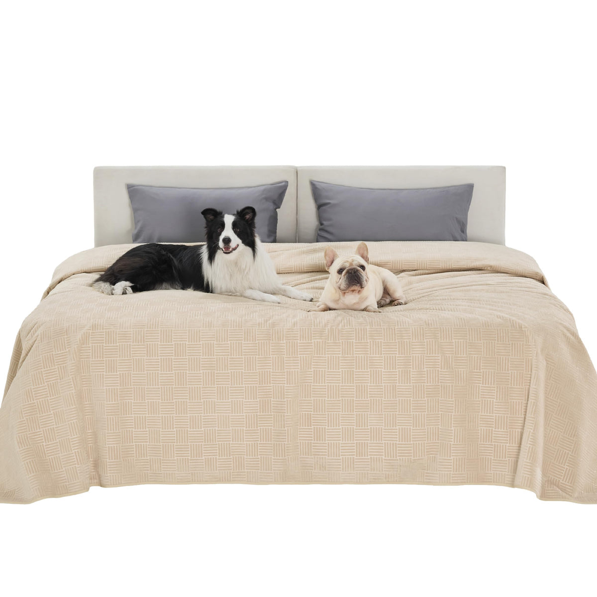 Bedsure Waterproof Couch Cover for Sofa and Dogs Quick Drying, 52x82IN