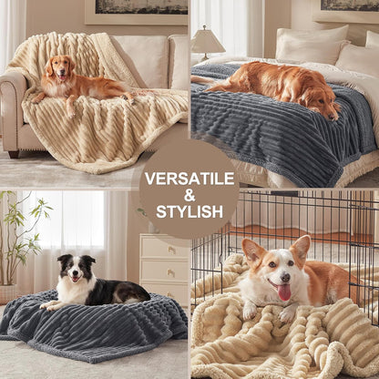 AIPERRO Waterproof Dog Blanket for Large Dogs, Washable Soft Puppy Cat Blanket Flannel Cotton Velour for Sofa Couch Protector, Comfort & Security Reversible Bed Protection for Pet, 50"X60", Gray