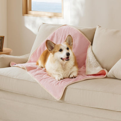 Bedsure Waterproof Dog Blankets for Small Dogs Soft Cat Blanket Warm,25X35