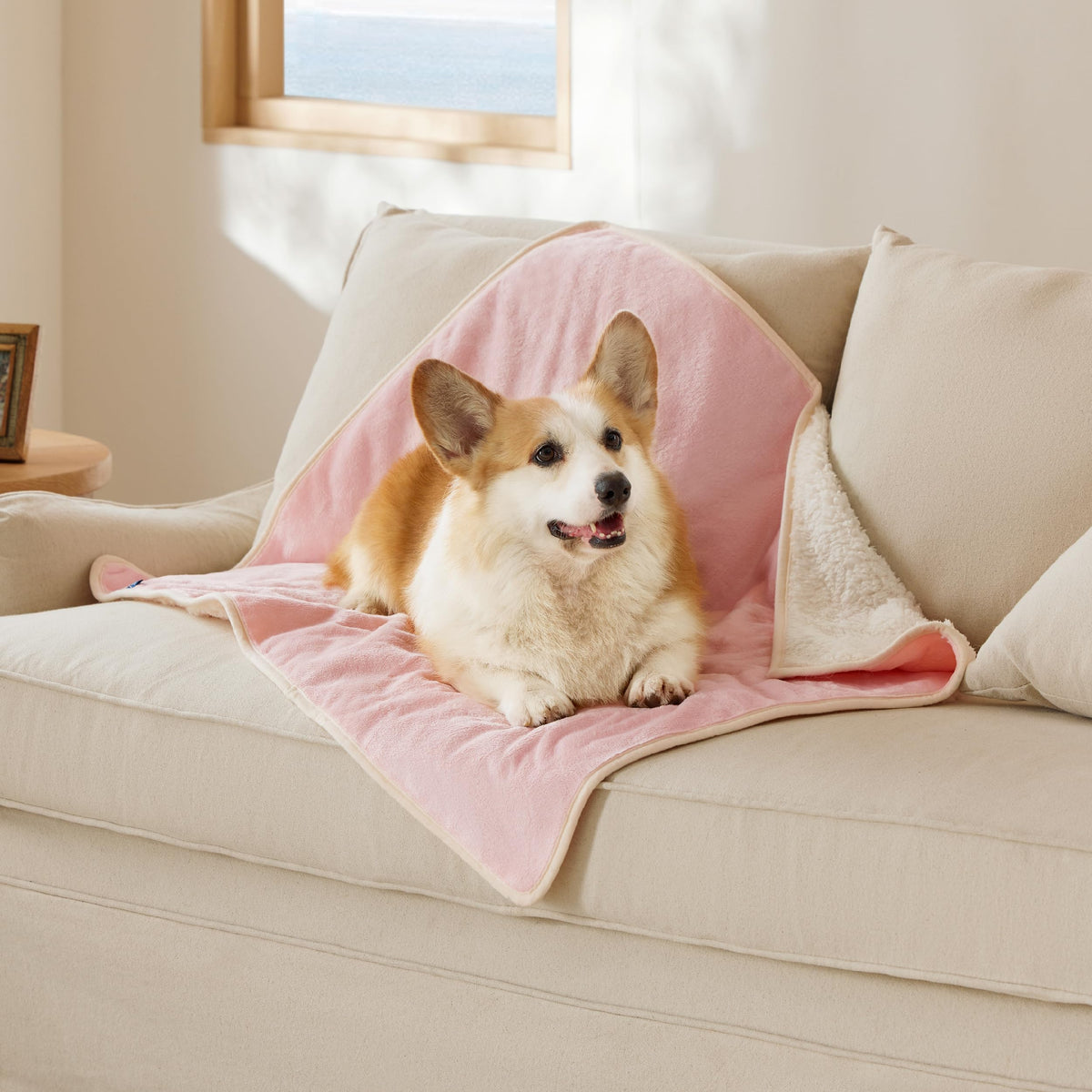 Bedsure Waterproof Dog Blankets for Large Dogs Sherpa Fleece Throw, 40X50