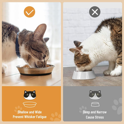 Cat Bowls, 304 Stainless Steel Non-Slip Wide Shallow, 2 Pack