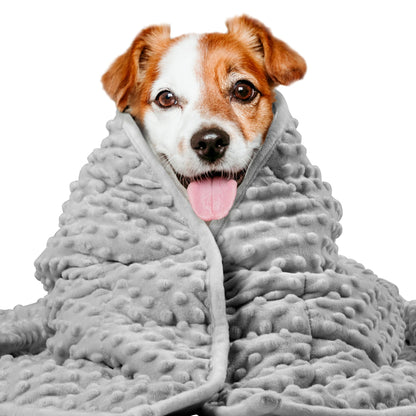 LaSyL Weighted Blanket for Pets | Thunder Blanket for Dogs Anxiety | Premium Soft Minky | Relaxation & Calming & Anti Anxiety | Used in Car, Bed, Couch | Blue Grey Star, Washable Small (24"x32")