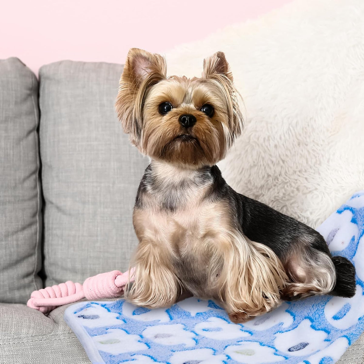 MCEAST 24 Pack Paw Print Plush Pet Blankets 24 x 16 Ultra-Soft & Cozy Small Dog Cat Bedding Mats with 12 Stylish Designs Machine Washable Multipurpose Fluffy Throw for Kennel, Sofa, Travel