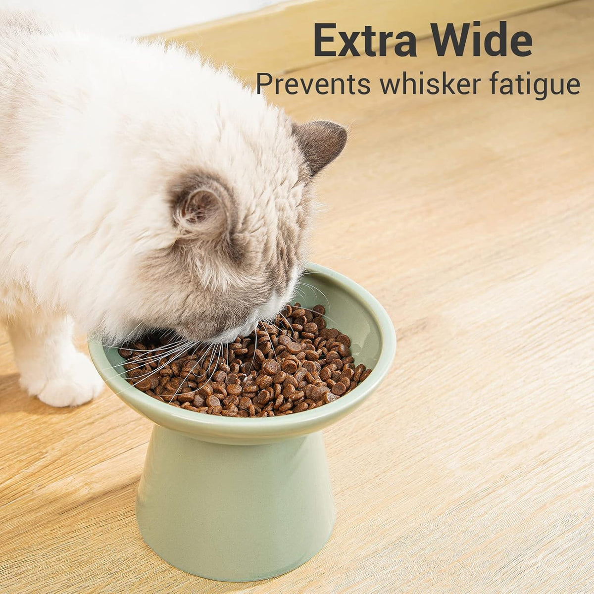 CEEFU Extra Wide Elevated Ceramic 6.2" Shallow Cat Food Bowl