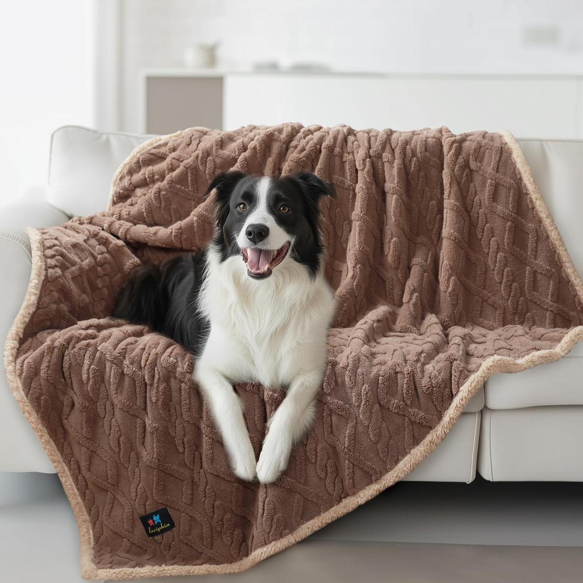 Luciphia Waterproof Blanket for Twin Bed Reversible Fleece Couch Cover