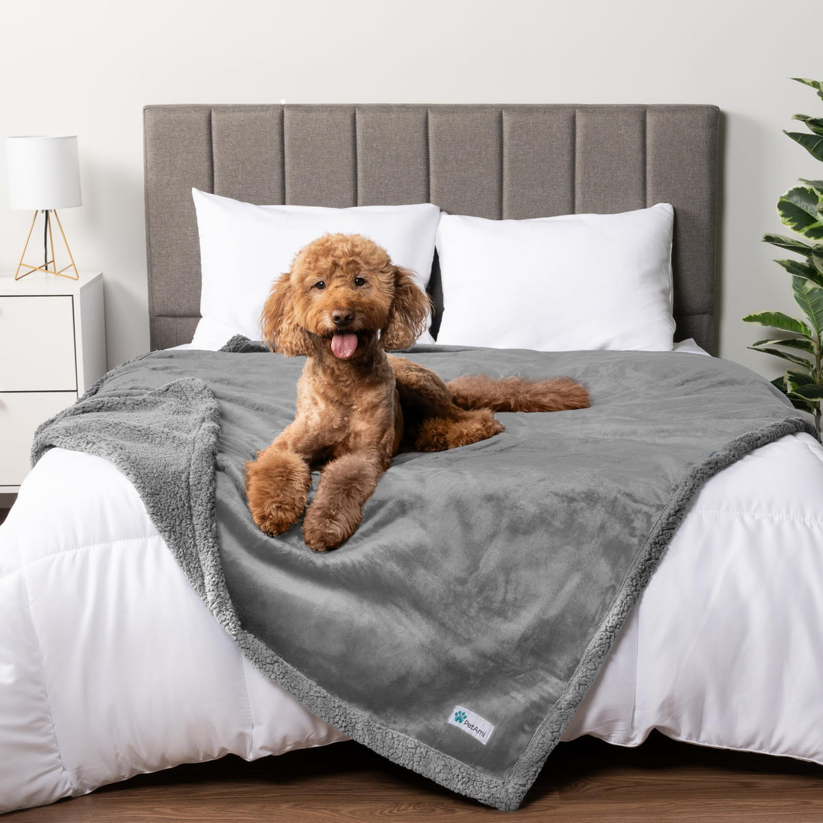 PetAmi Waterproof Dog Blanket for Large Dog Cat Pet, 60x80, Grey Sherpa