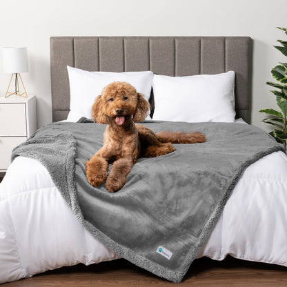 PetAmi Waterproof Dog Blanket for Large Dog Cat Pet, 60x80, Grey Sherpa