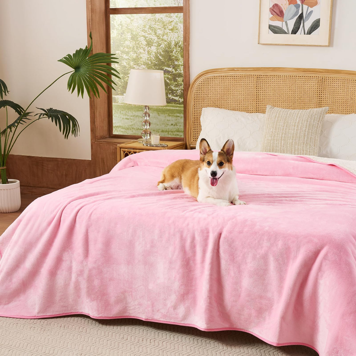 Sunheir Waterproof Blanket for Couch Bed, Soft Pet Blanket Leakproof, Grey