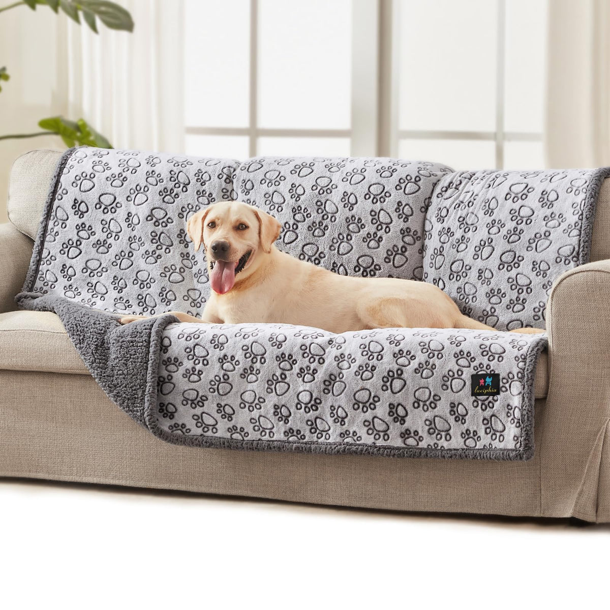 Luciphia Waterproof Dog Blanket Reversible Sherpa Fleece for Small Dogs Cat
