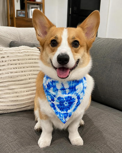 PET SHOW 50 Pack Boy Dog Bandanas Bulk for Medium Dogs