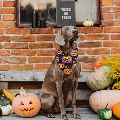 Halloween Dog Bandanas - 2 Pack Reversible Pumpkin and Bat Pet Scarf for Boys and Girls | Fall Dog Bibs | Premium Durable Fabric | Holiday Dog Bandana for Small and Medium Dogs (Small)