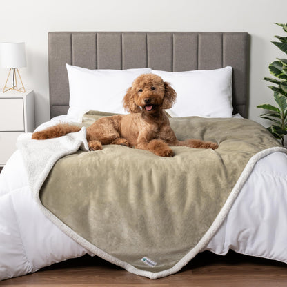 PetAmi Waterproof Dog Blanket for Large Dog Cat Pet, 60x80, Grey Sherpa