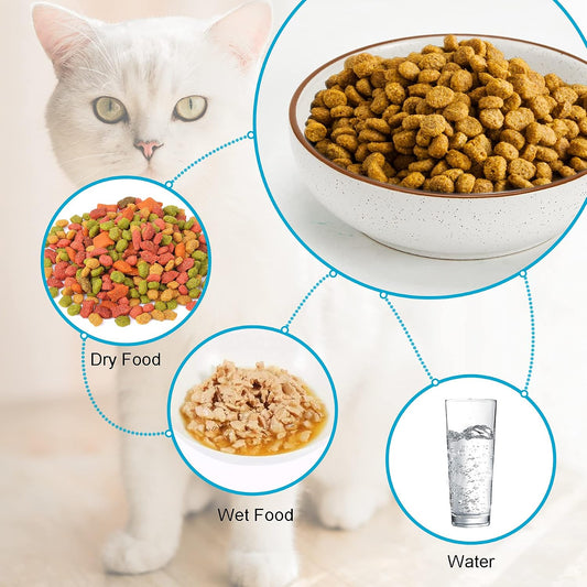 Ceramic Cat Bowls, Howise Pet Bowl Cat Dishes for Food and Water, 5.3 in Cat Food Dish 3 Pack Cat Food Bowls Set Small Dog Dish, Matte White Finish