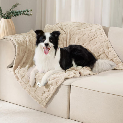 Luciphia 2 Pack Small Dog Blanket, Cozy Fleece Throw for Puppy Cat,30"x20"