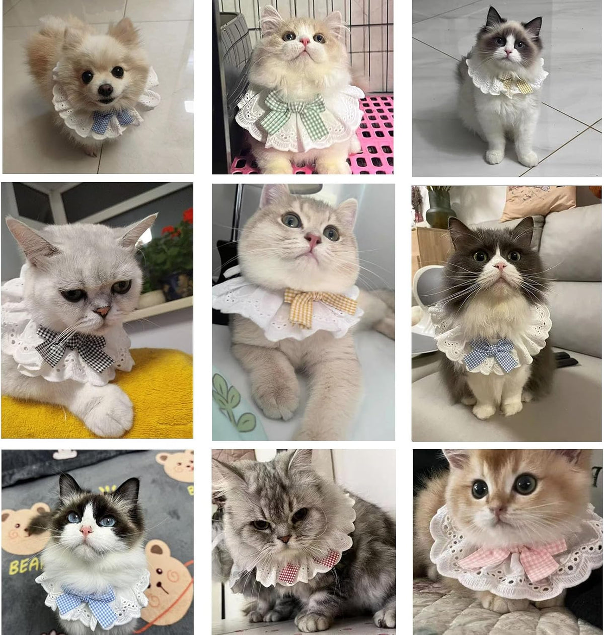 6PCS Pet Lace Bib, Sweet Cat Bandana with Bow, Cotton Dog Saliva Towel, Cute Round Neck Scarf for Kitty Puppy Extra Small Dog (Large)