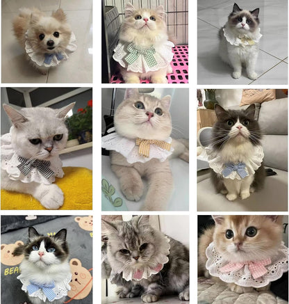6PCS Pet Lace Bib, Sweet Cat Bandana with Bow, Cotton Dog Saliva Towel, Cute Round Neck Scarf for Kitty Puppy Extra Small Dog (Large)
