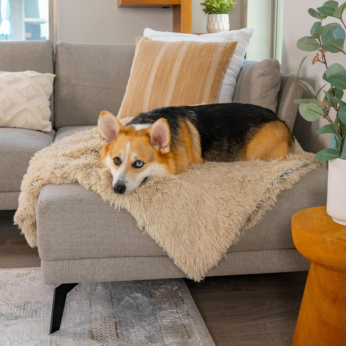 Best Friends by Sheri Dog Blanket, Shag Faux Fur, Taupe, 30" x 40"