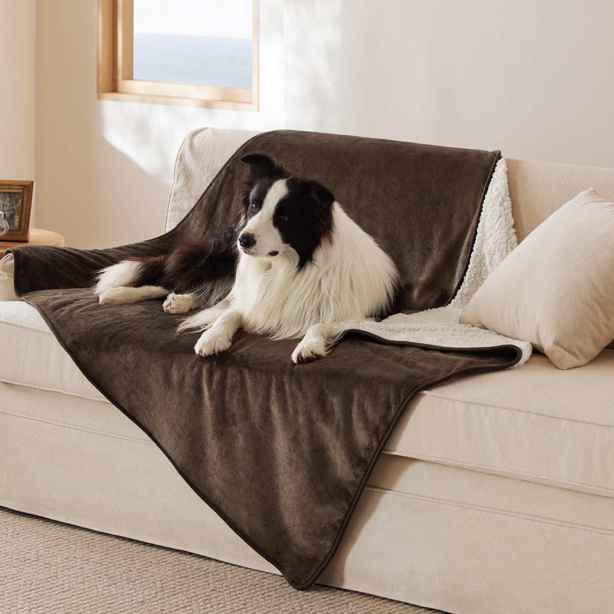 Bedsure Waterproof Dog Blankets for Small Dogs Soft Cat Blanket Warm,25X35