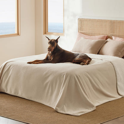Bedsure Waterproof Dog Blankets for Small Dogs Soft Cat Blanket Warm,25X35