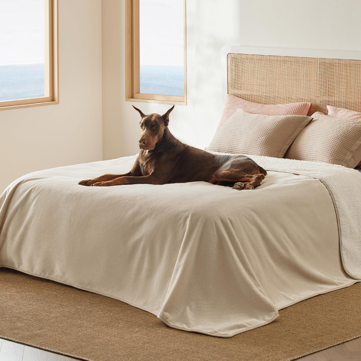 Bedsure Waterproof Dog Blankets for Large Dogs Sherpa Fleece Throw, 40X50