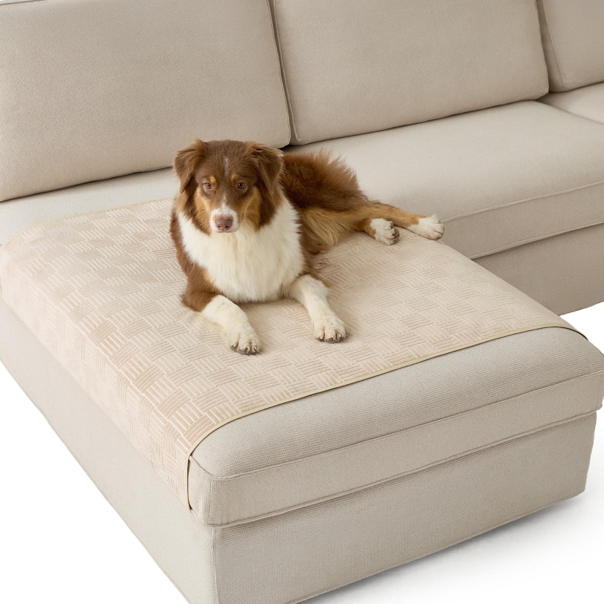 Bedsure Waterproof Couch Cover for Sofa and Dogs Quick Drying, 52x82IN