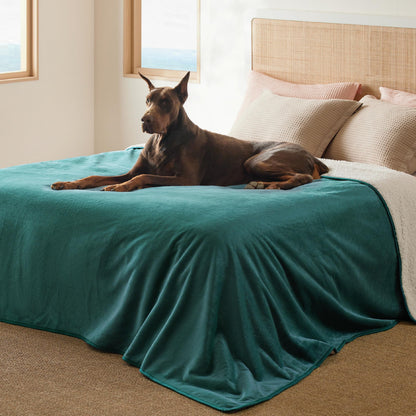Bedsure Waterproof Dog Blankets for Small Dogs Soft Cat Blanket Warm,25X35