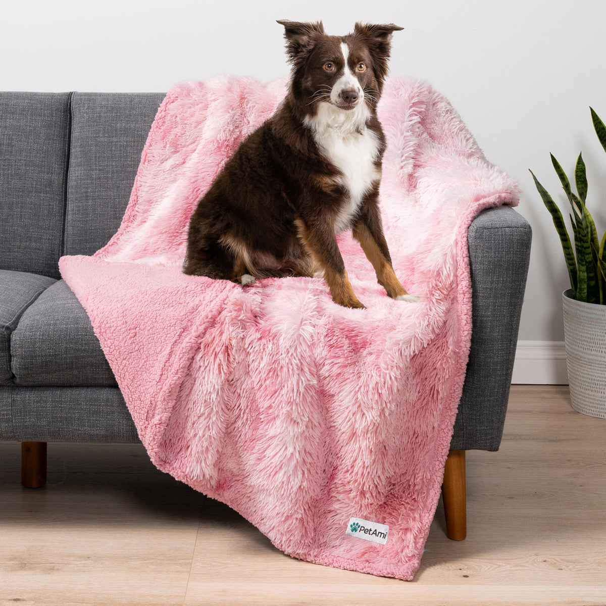 PetAmi Waterproof Dog Blanket for Couch Protector Pet Throw, 40x60 Taupe