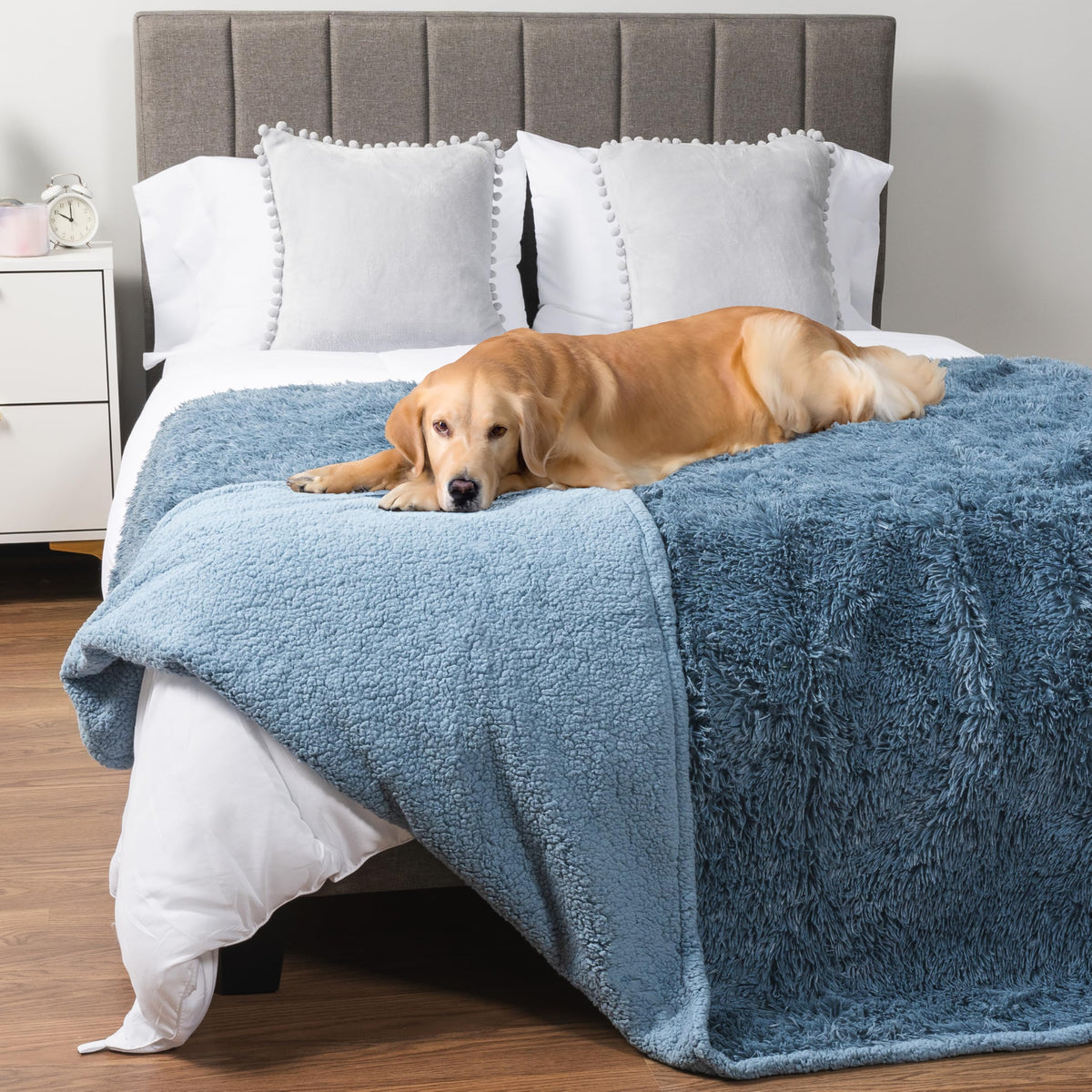 PetAmi Waterproof Dog Blanket for Couch Protector Pet Throw, 40x60 Taupe