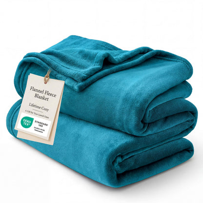 Bedsure GentleSoft Fleece Blanket Twin Size Grey - 300GSM Lightweight Plush Fuzzy Cozy Soft Warm Blanket for Bed, Sofa, Couch, Travel, Camping, 60x80 inches