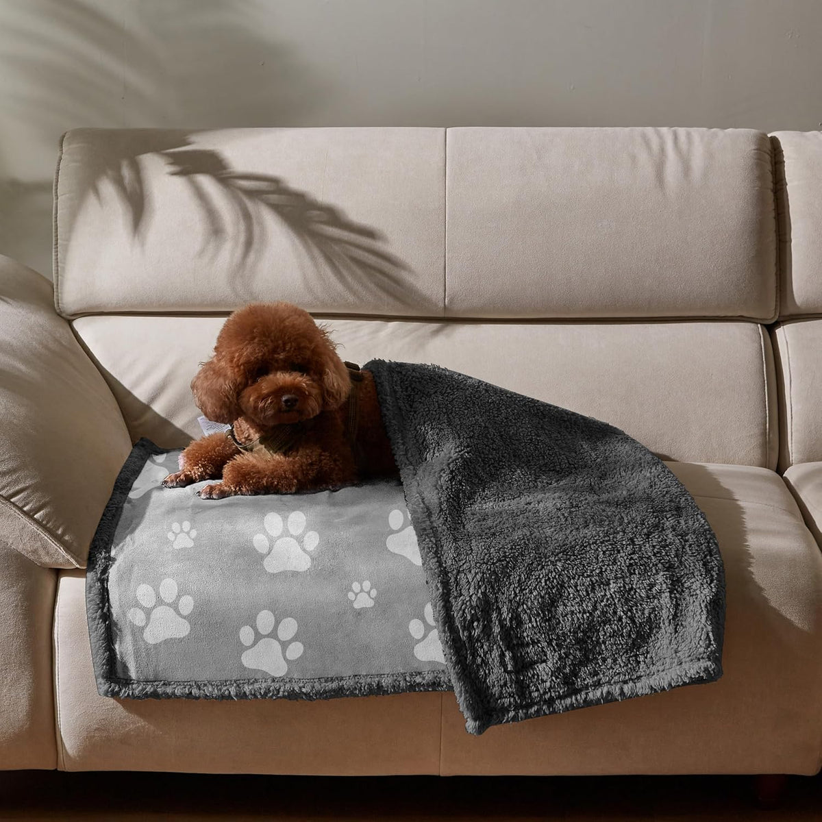 Kritter Planet Waterproof Reversible Pet Blanket for Small Dogs