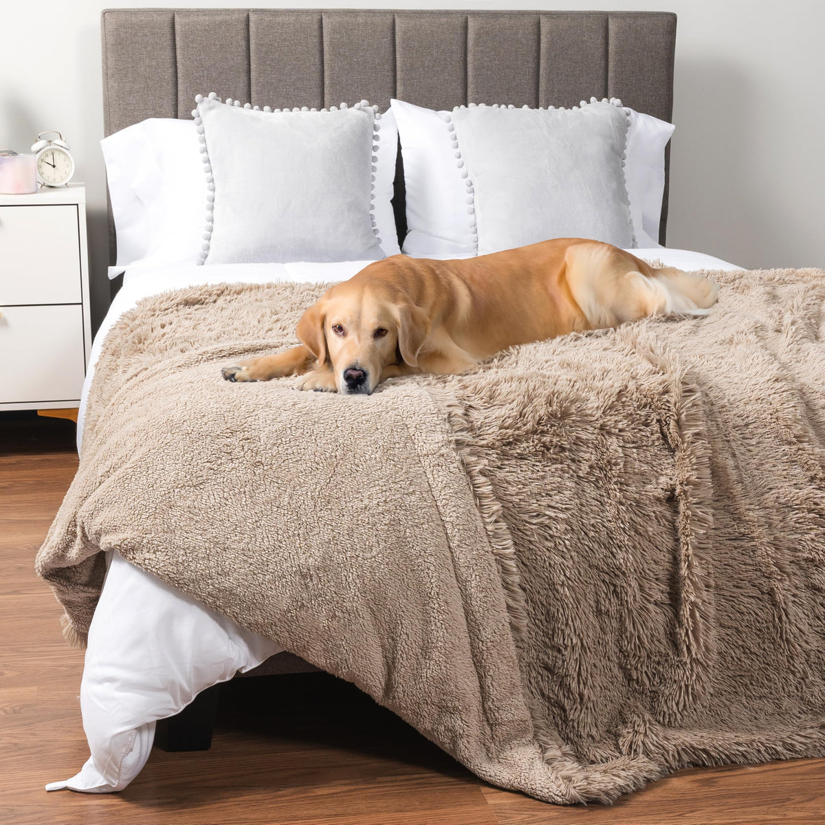 PetAmi Waterproof Dog Blanket for Couch Protector Pet Throw, 40x60 Taupe