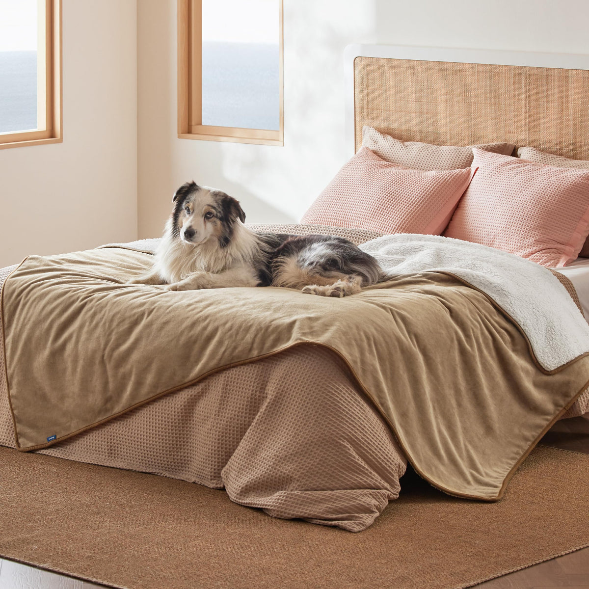 Bedsure Waterproof Dog Blankets for Small Dogs Soft Cat Blanket Warm,25X35