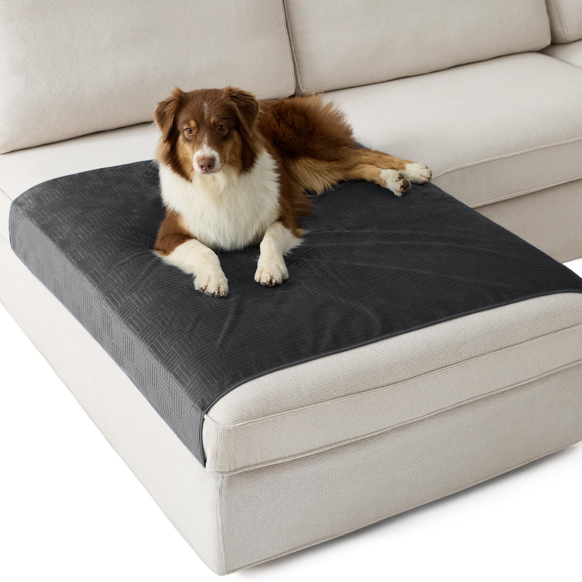 Bedsure Waterproof Couch Cover for Sofa and Dogs Quick Drying, 52x82IN
