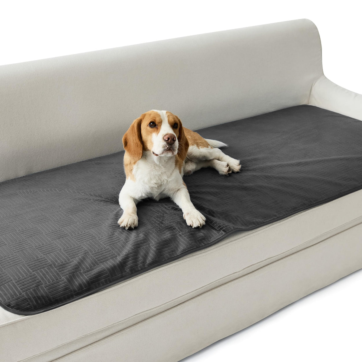 Bedsure Waterproof Couch Cover for Sofa and Dogs Quick Drying, 52x82IN