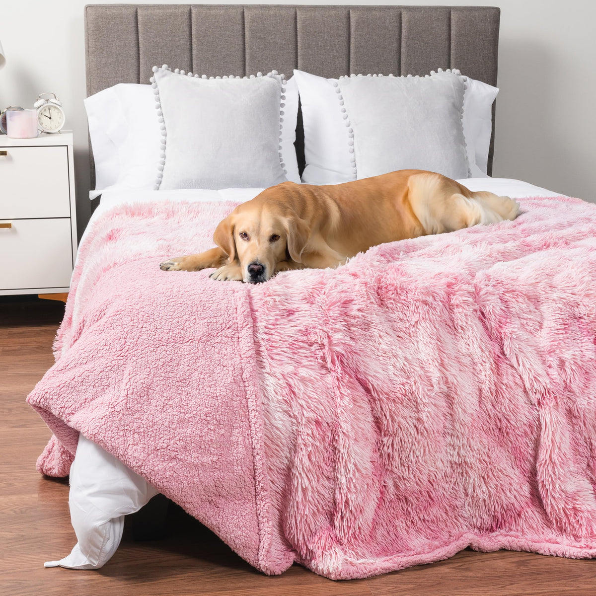 PetAmi Waterproof Dog Blanket for Couch Protector Pet Throw, 40x60 Taupe