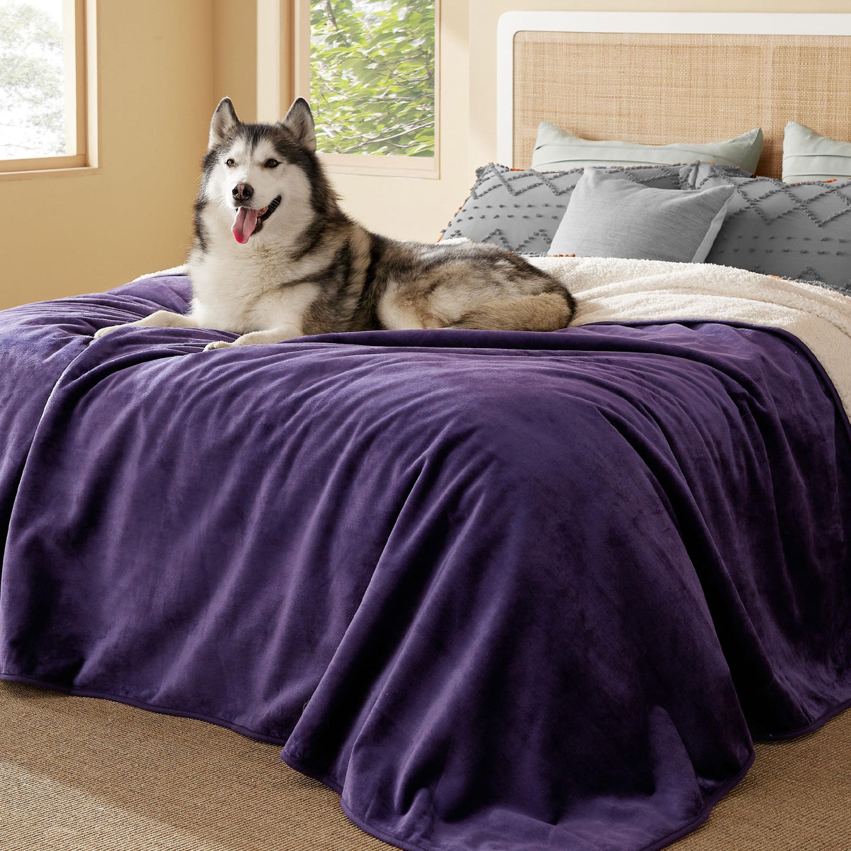 Bedsure Waterproof Dog Blankets for Large Dogs Sherpa Fleece Throw, 40X50