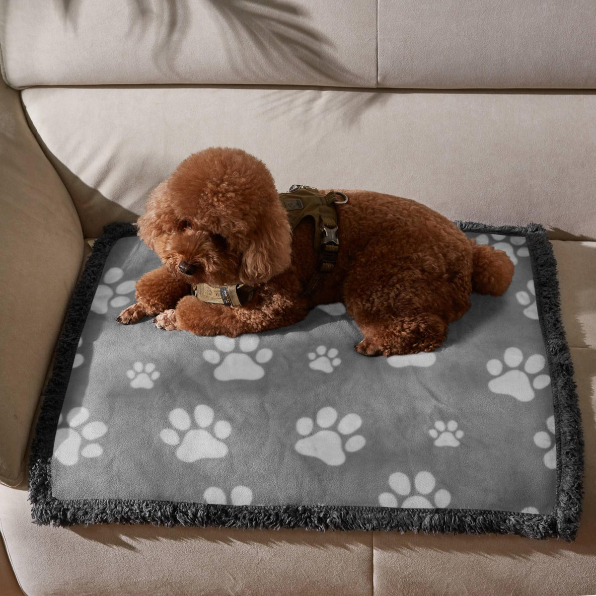 Kritter Planet Waterproof Reversible Pet Blanket for Small Dogs