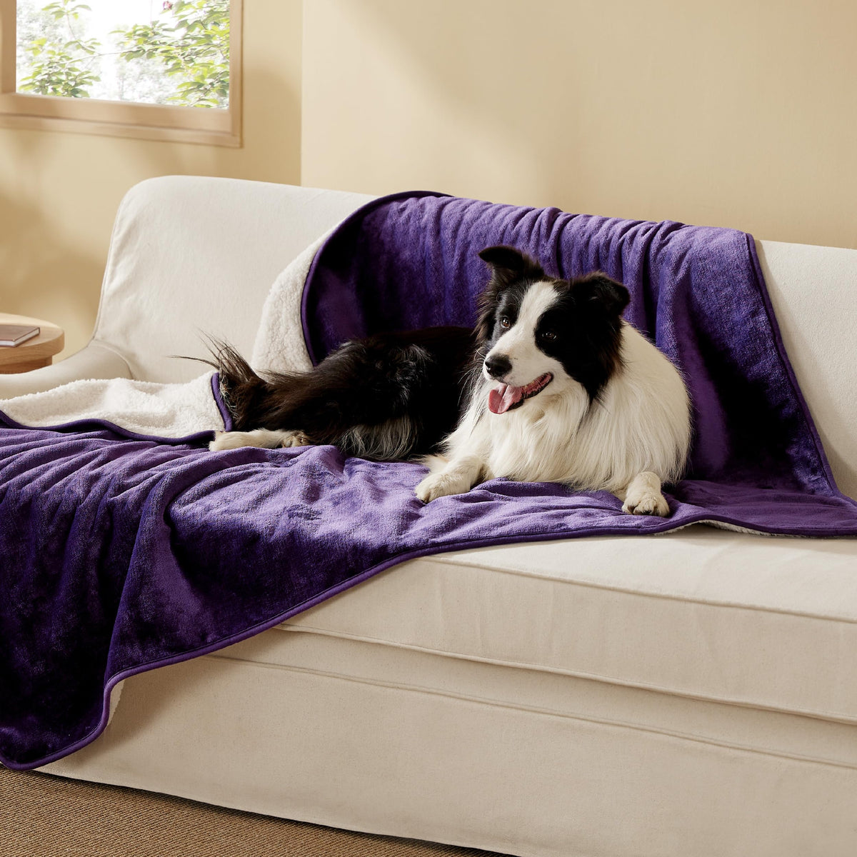 Bedsure Waterproof Dog Blankets for Small Dogs Soft Cat Blanket Warm,25X35